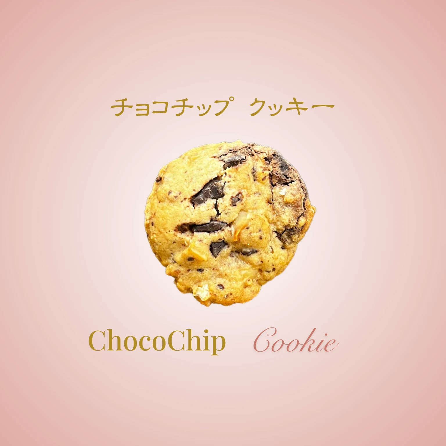 ソフトチョコチップ