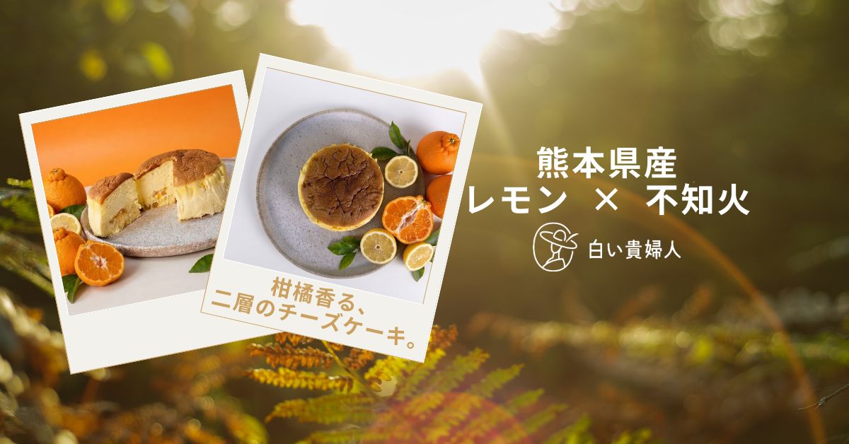 白い貴婦人 不知火バスレチーズケーキのご案内