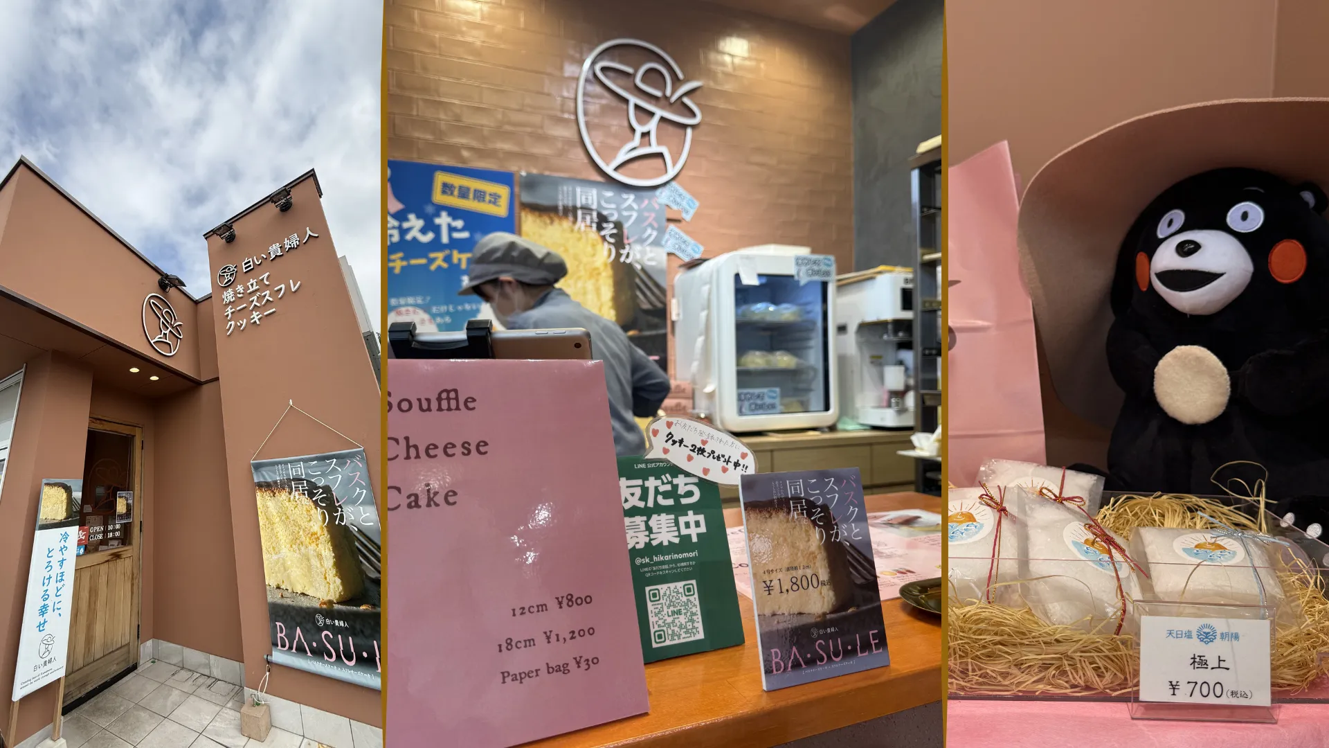 熊本の人気チーズケーキ専門店『白い貴婦人』の店舗と商品ディスプレイ